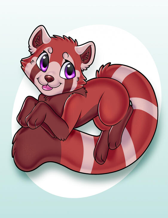 Little Red Panda