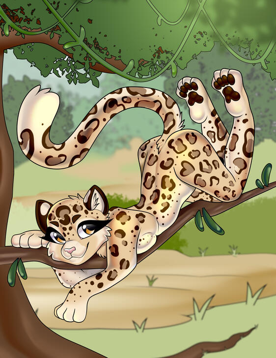 Leopard Sighting